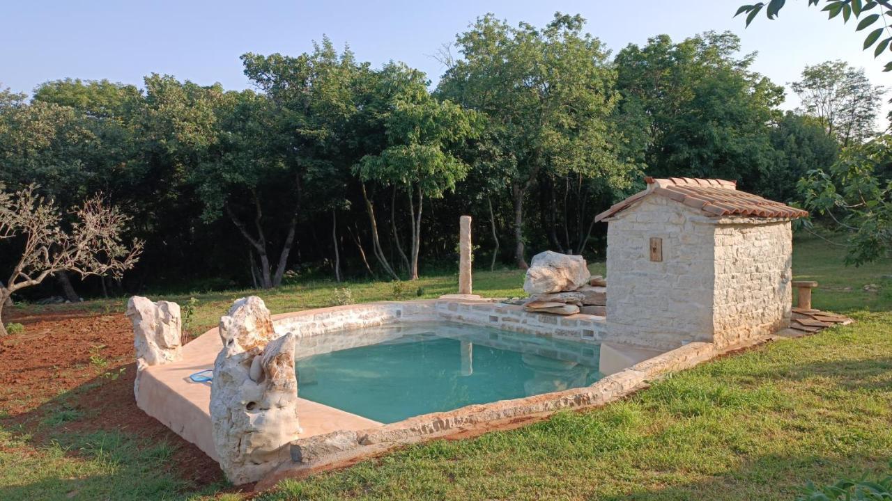 Cottage Al Merlo Olivo Buje Zewnętrze zdjęcie