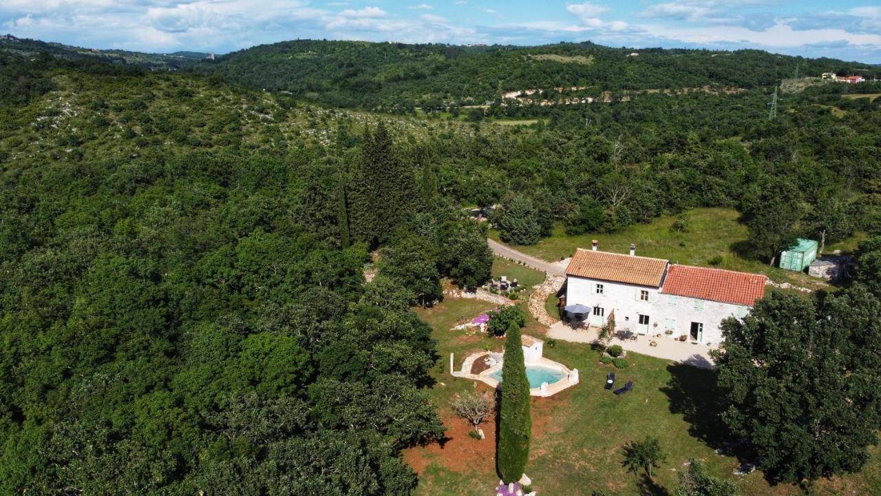 Cottage Al Merlo Olivo Buje Zewnętrze zdjęcie