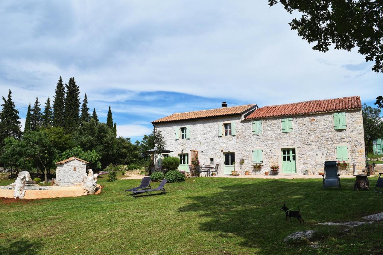 Cottage Al Merlo Olivo Buje Zewnętrze zdjęcie