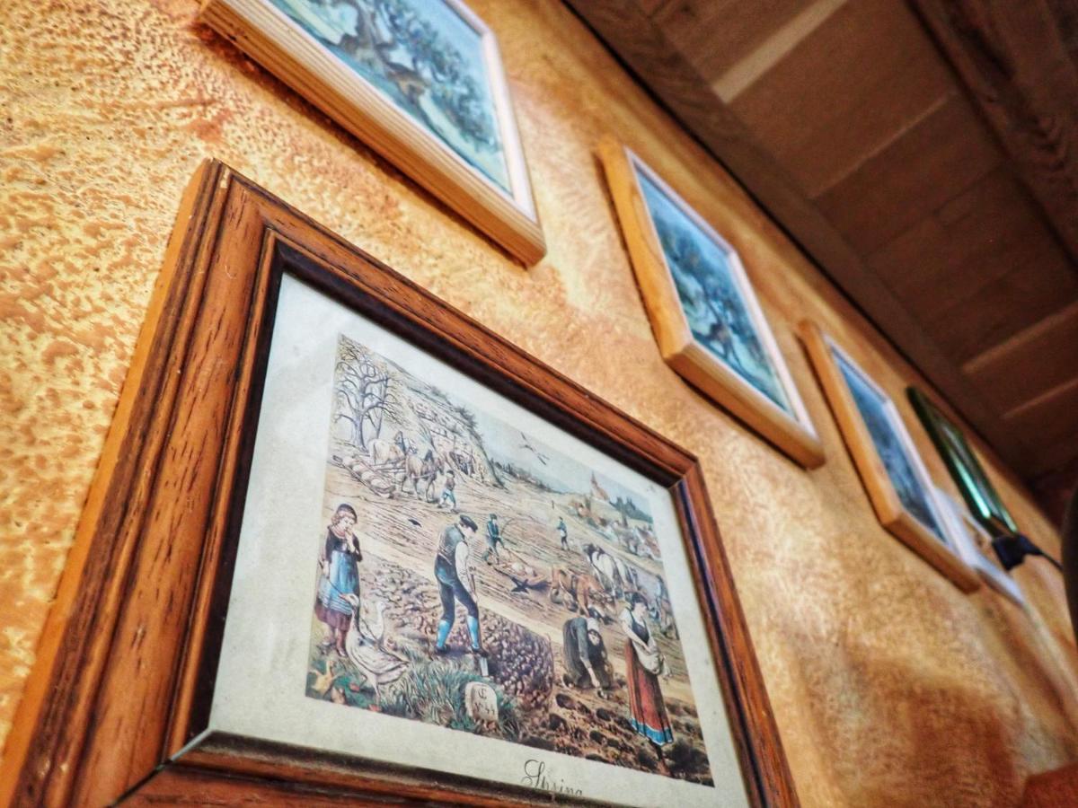 Cottage Al Merlo Olivo Buje Zewnętrze zdjęcie
