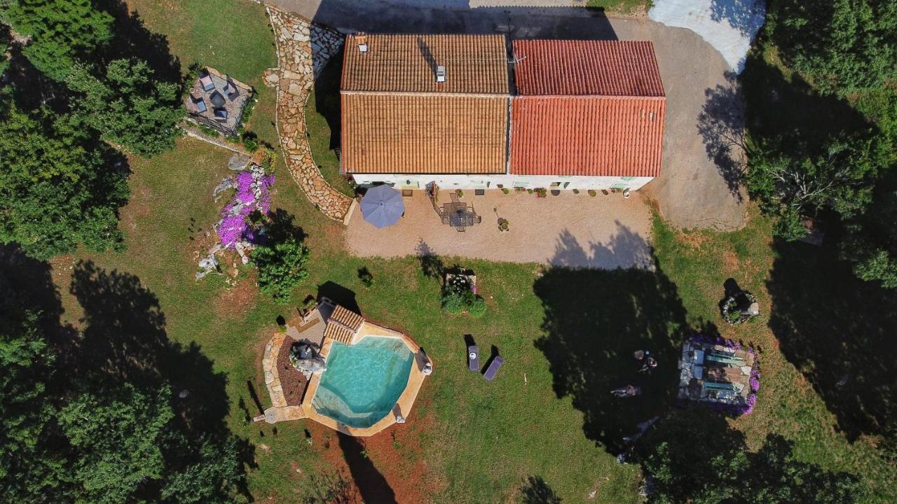 Cottage Al Merlo Olivo Buje Zewnętrze zdjęcie