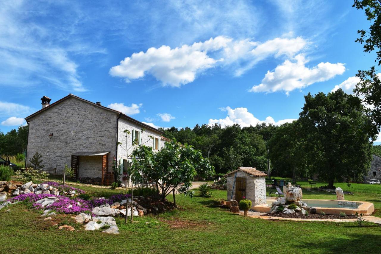 Cottage Al Merlo Olivo Buje Zewnętrze zdjęcie