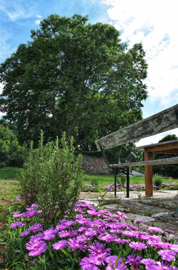 Cottage Al Merlo Olivo Buje Zewnętrze zdjęcie