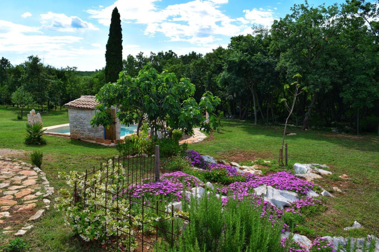 Cottage Al Merlo Olivo Buje Zewnętrze zdjęcie