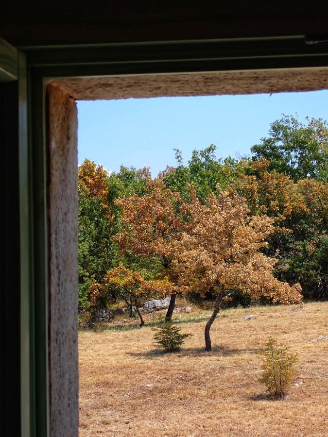 Cottage Al Merlo Olivo Buje Zewnętrze zdjęcie