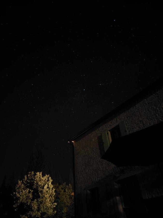 Cottage Al Merlo Olivo Buje Zewnętrze zdjęcie
