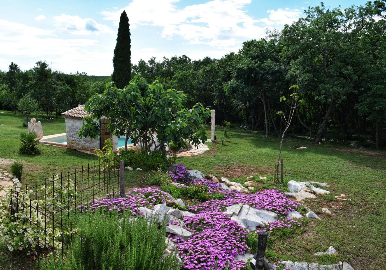 Cottage Al Merlo Olivo Buje Zewnętrze zdjęcie