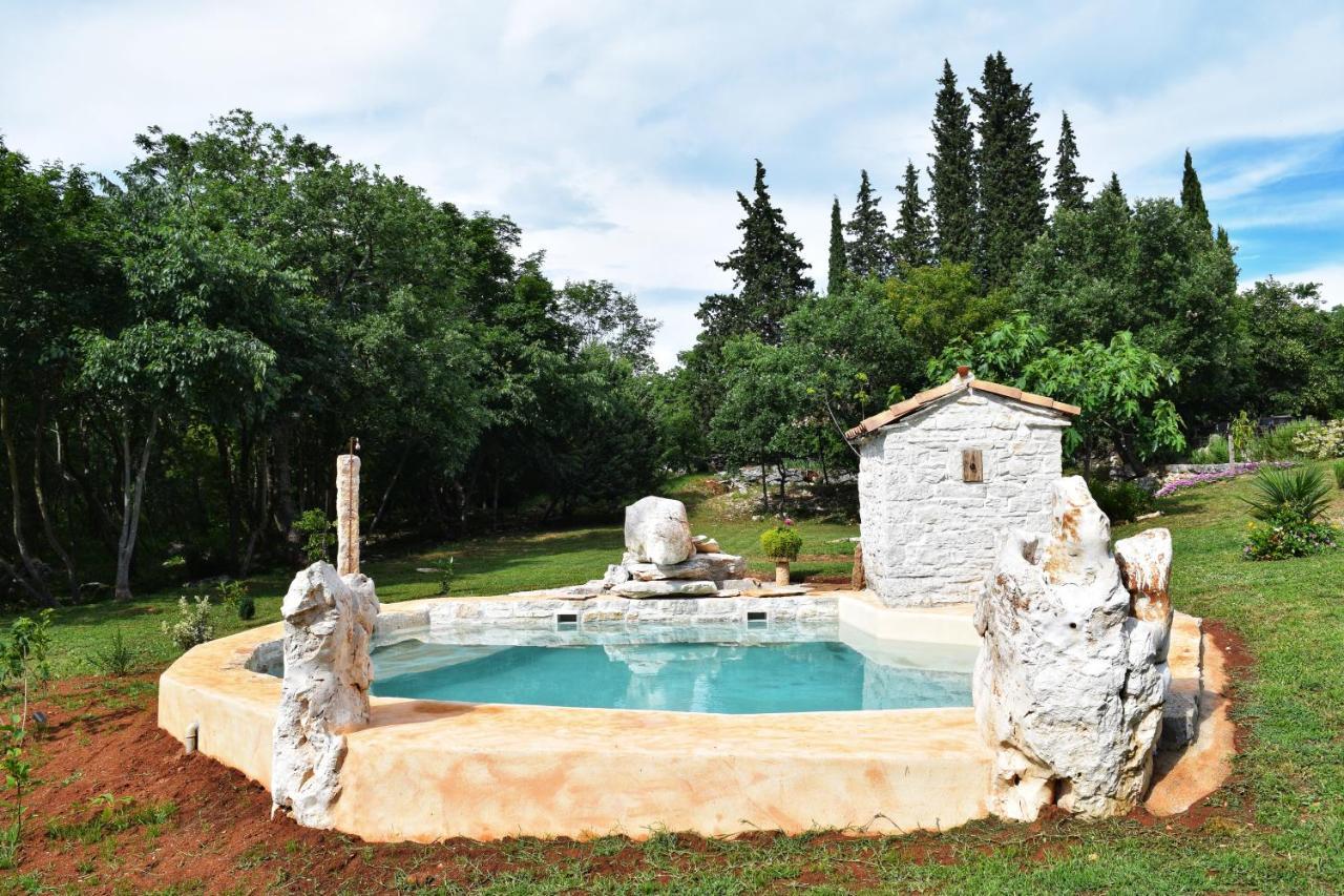 Cottage Al Merlo Olivo Buje Zewnętrze zdjęcie