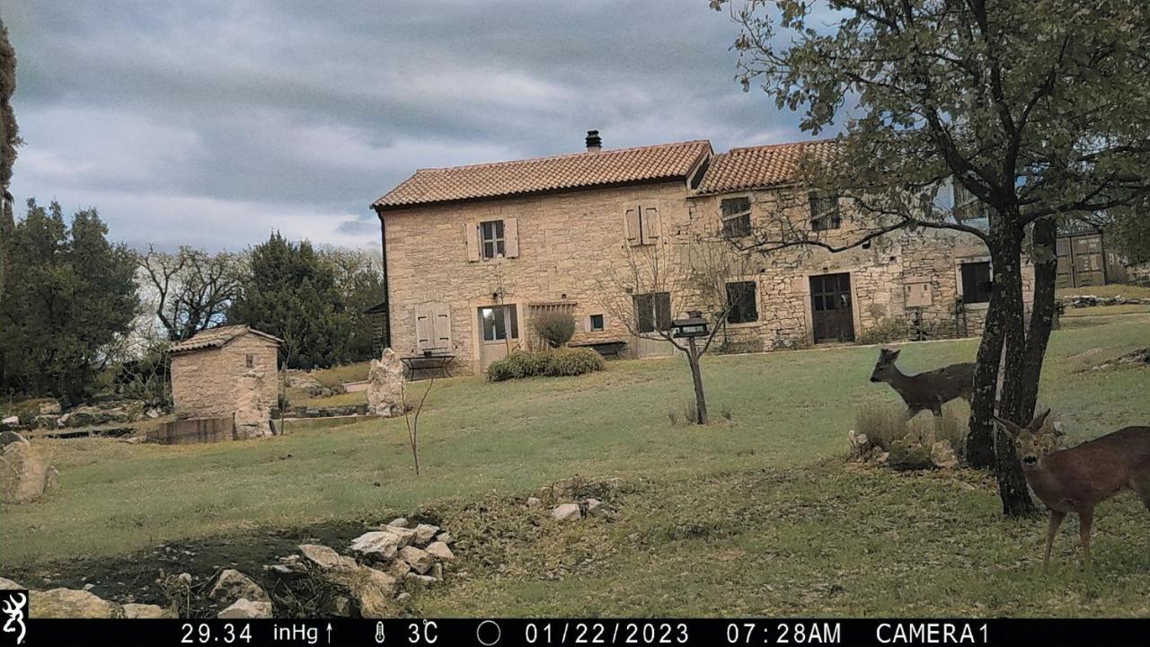 Cottage Al Merlo Olivo Buje Zewnętrze zdjęcie