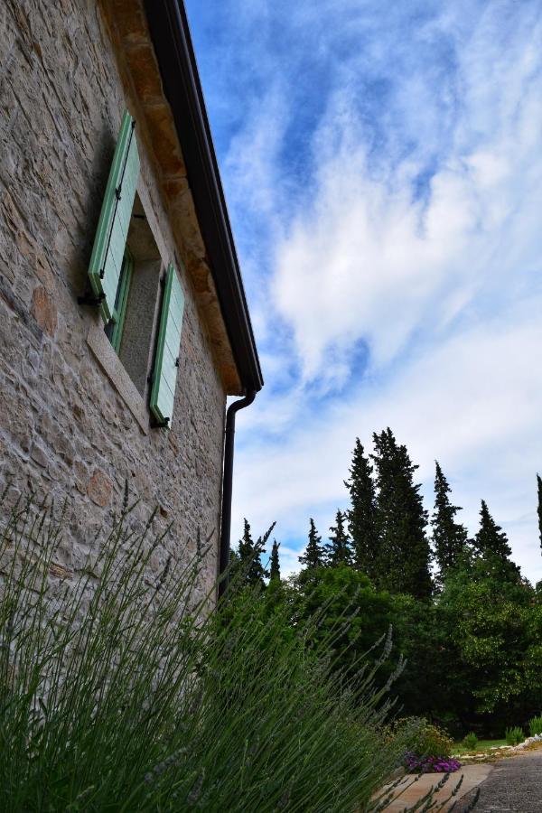 Cottage Al Merlo Olivo Buje Zewnętrze zdjęcie