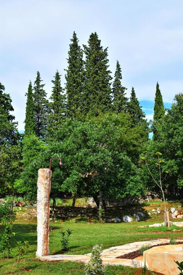 Cottage Al Merlo Olivo Buje Zewnętrze zdjęcie